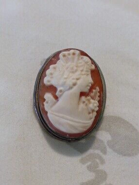 Classic Carved Shell Cameo Brooch - Cream on Brown